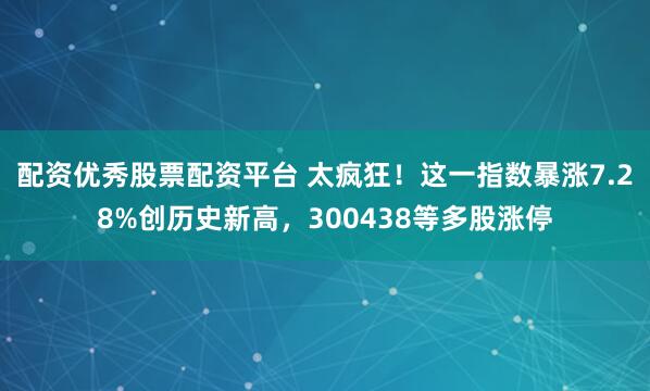 配资优秀股票配资平台 太疯狂！这一指数暴涨7.28%创历史新高，300438等多股涨停